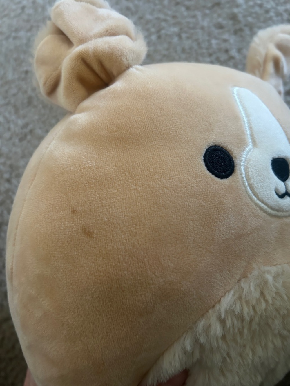 Stevon  the Golden Retriever Squishmallow - Picture 2 of 2